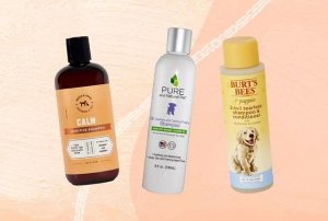 Selecting the Right Shampoo for Puppies With Sensitive Skin