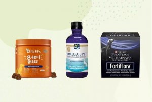 Canine Wellness: A 2026 Guide to Popular Dog Supplements