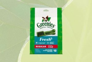 Veterinarian-Approved Dental Care Products for Dogs with Bad Breath