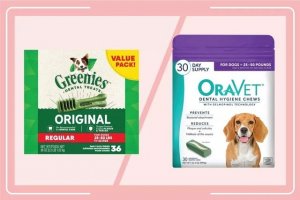 OraVet vs. Greenies: Which Dental Chew Fits Your Dog's Needs?