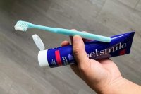 2026 Dog Toothpaste Reviews: What Our Tests Revealed