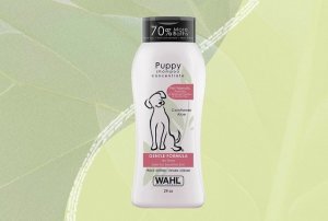 Selecting the Right Shampoo for Your Dog's Coat and Skin Needs