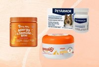 Choosing the Right Allergy Relief for Your Dog: A 2026 Guide
